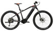 Elektrische Mountainbikes